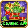 PakDhan Royal Gaming App