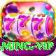 tojay Gaming VIP